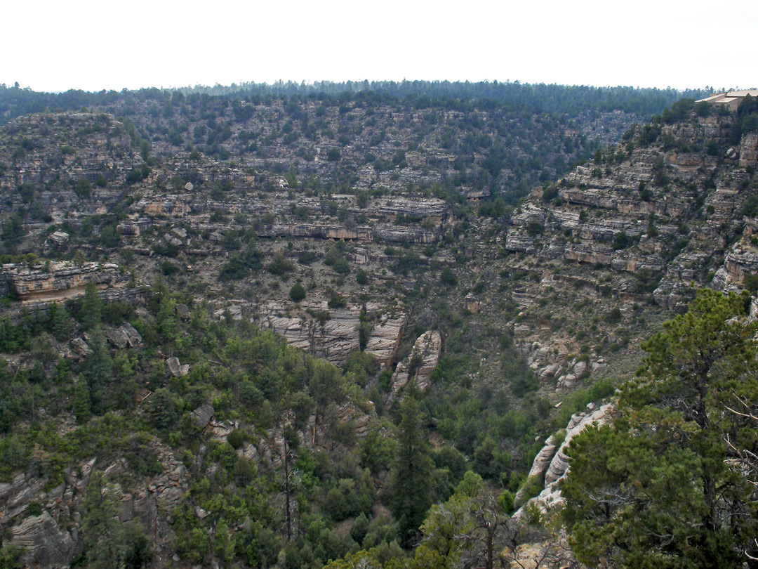 View along the Rim Trail