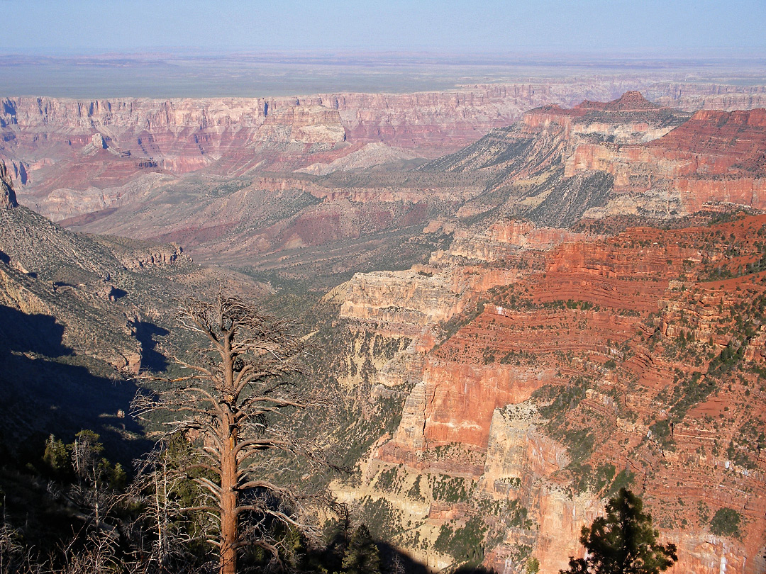 Kwagunt Valley