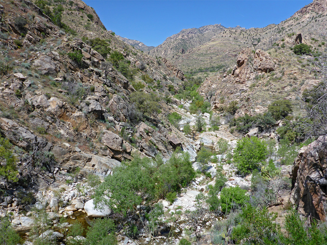 East Fork confluence