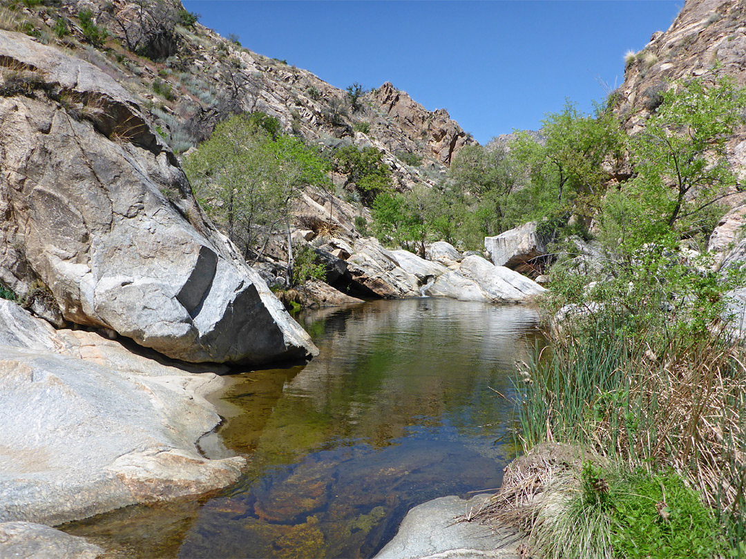 Boulders and greenery