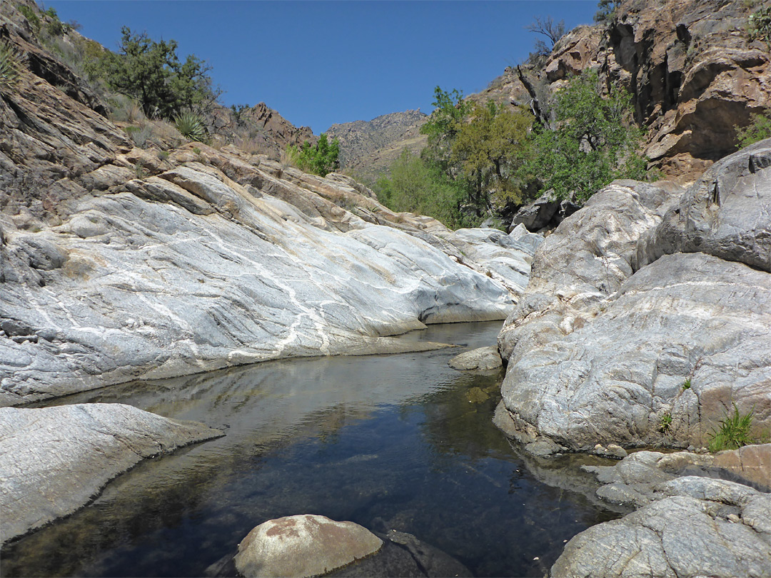 Veined slickrock