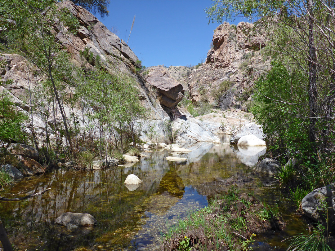 Shady streamway