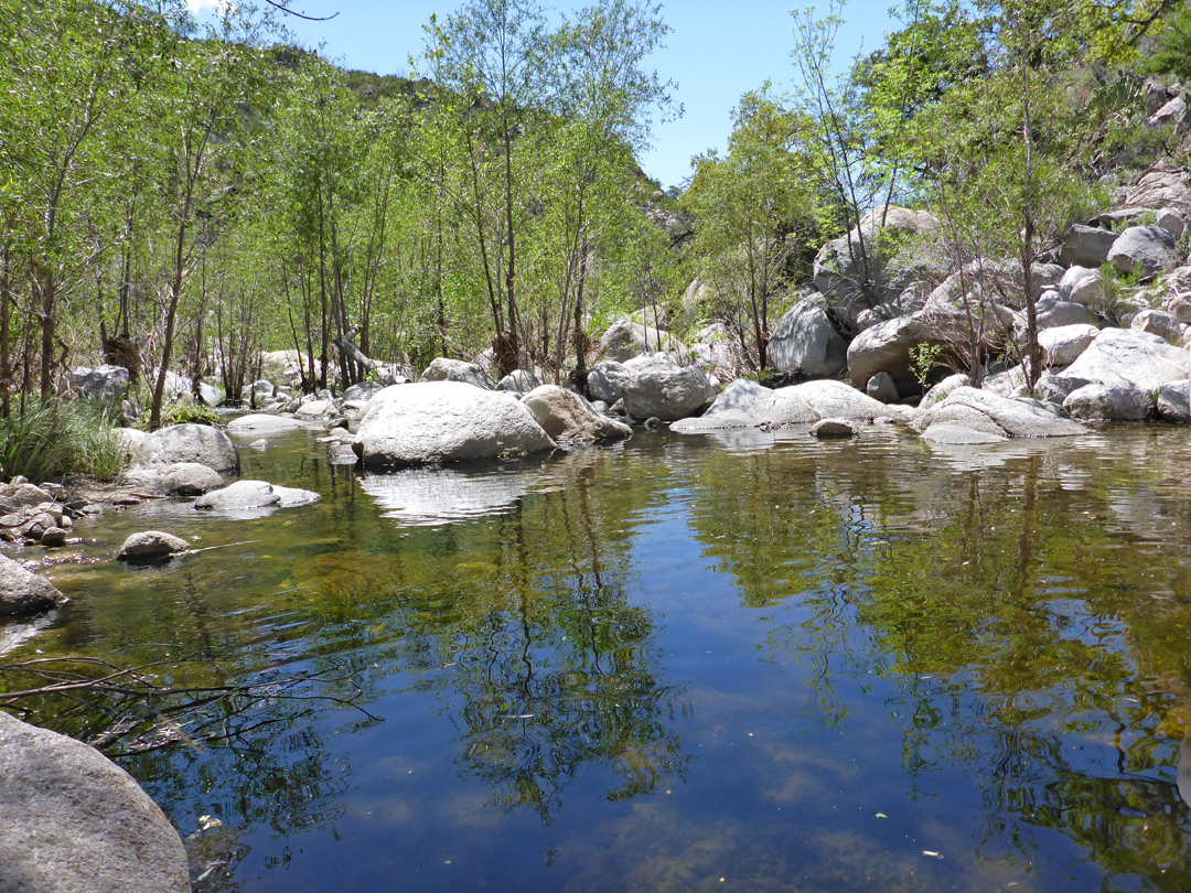 Wide, shallow pool