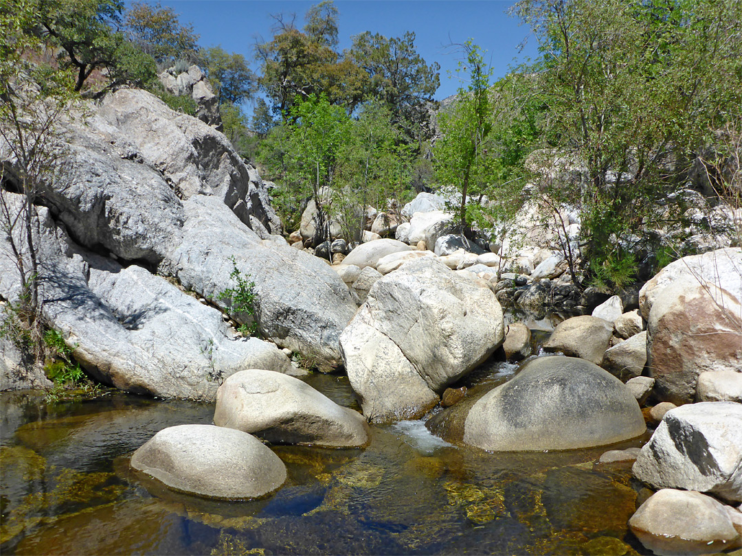 Boulders in the stream