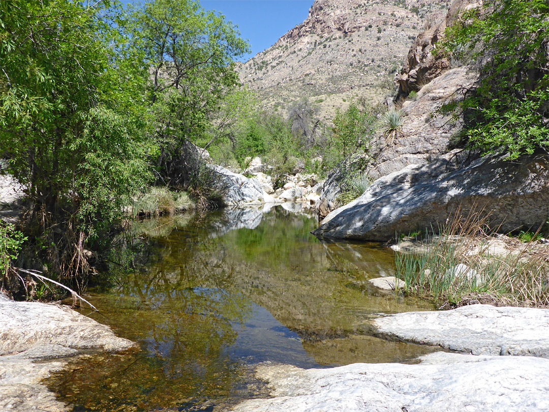 Calm pool