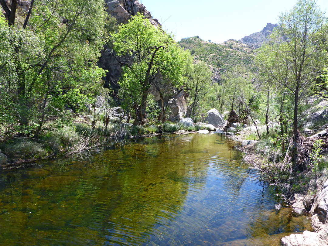 Ripples on the water