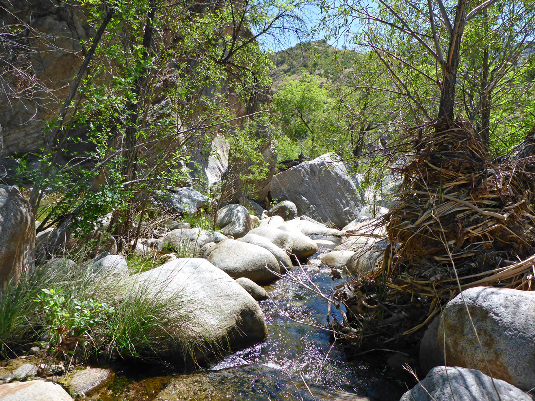 Flood debris