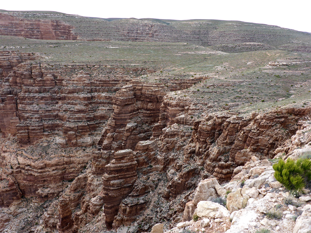 Upper end of the canyon