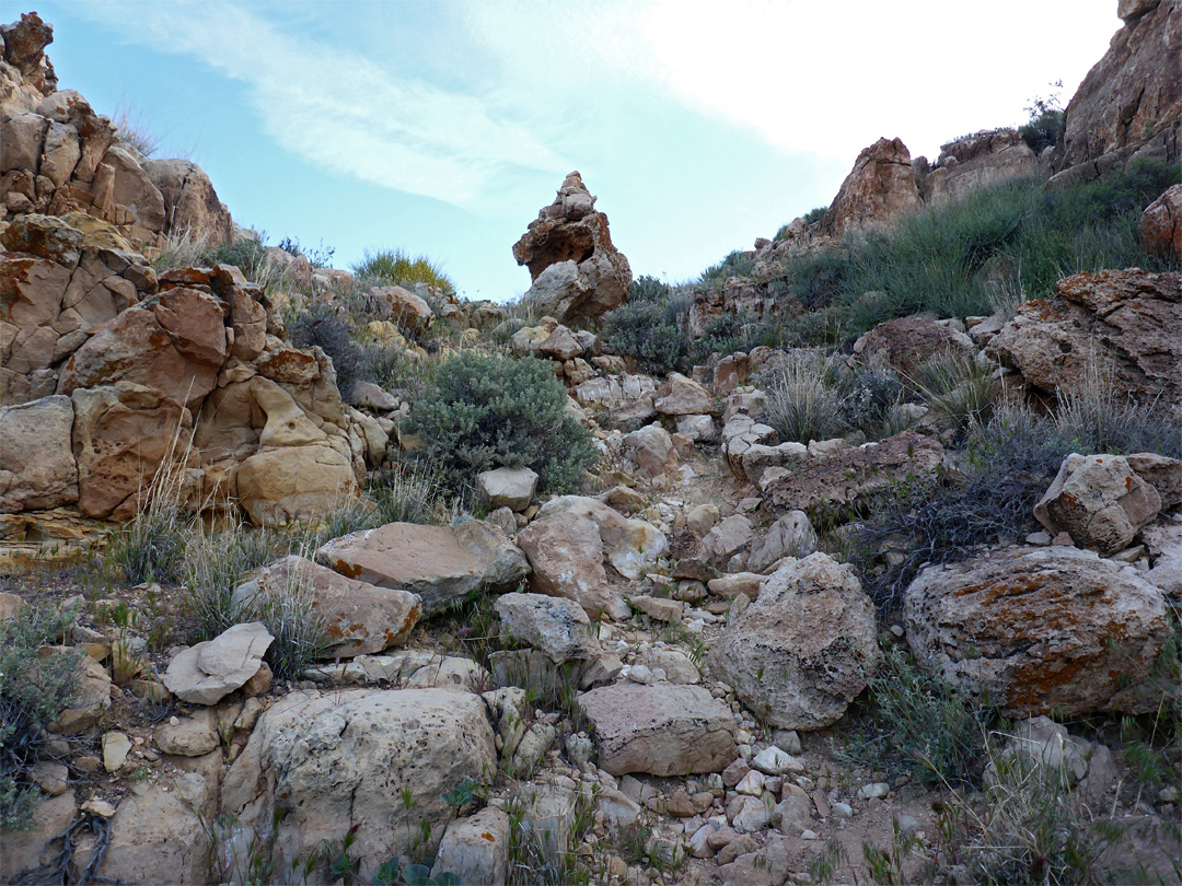 Rocks at the rim