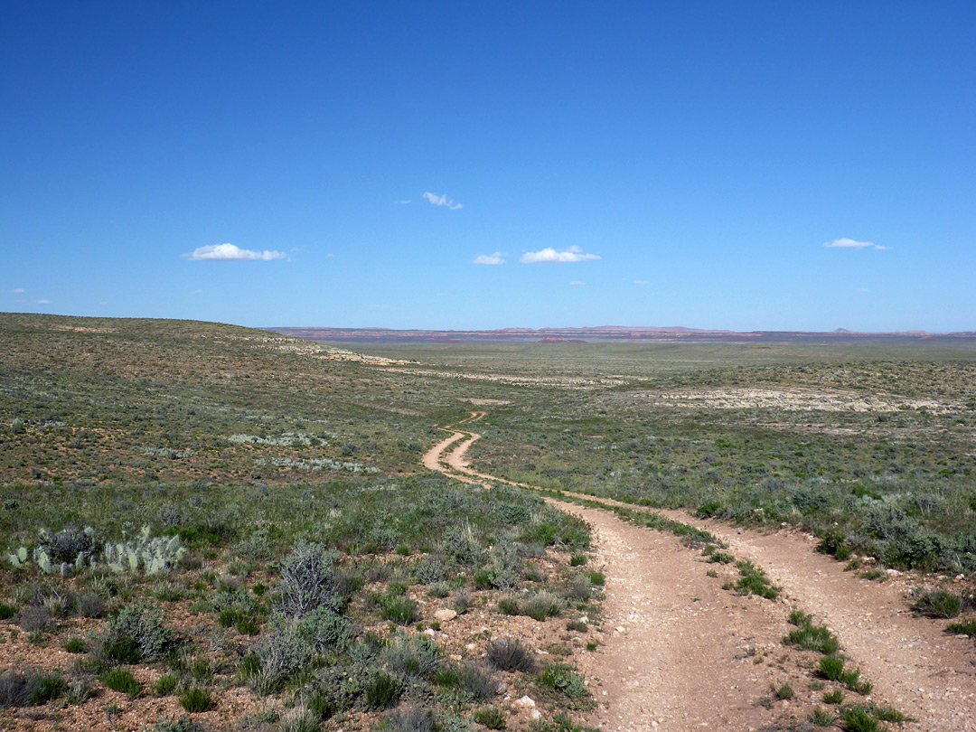 Road to the trailhead