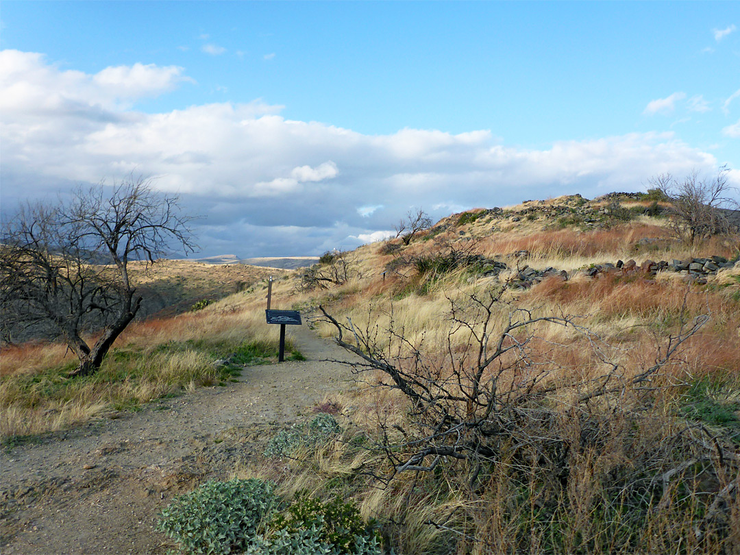 Interpretative notice