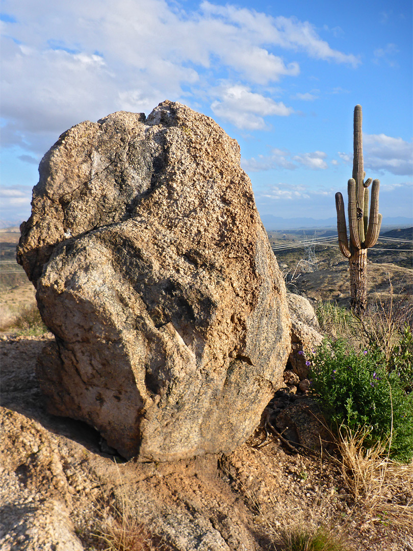 Boulder and saguaro