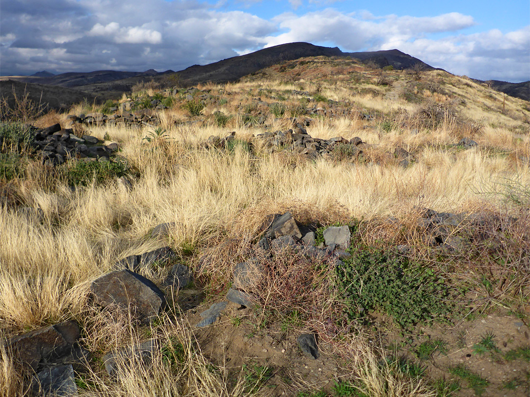 Stones and long grass