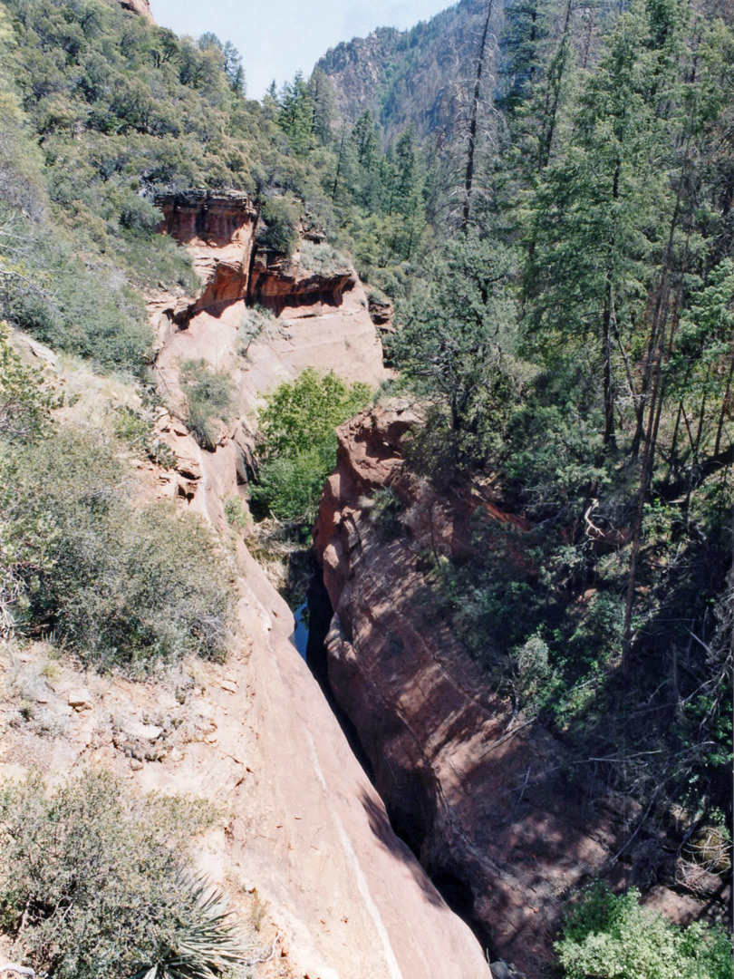 Above the canyon