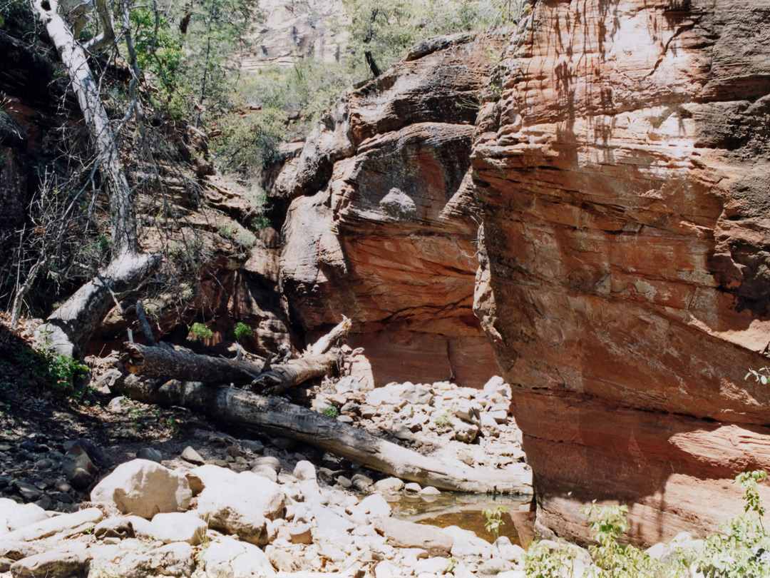 Boulders and logs