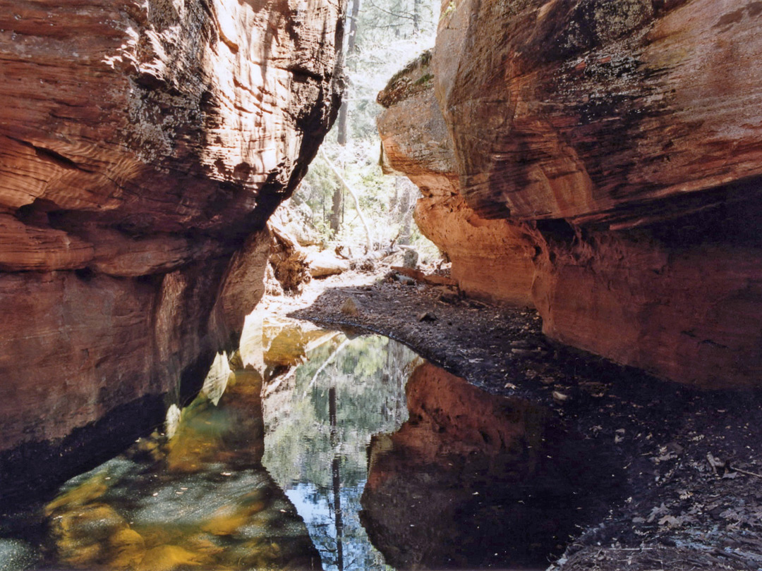 Pool and narrows