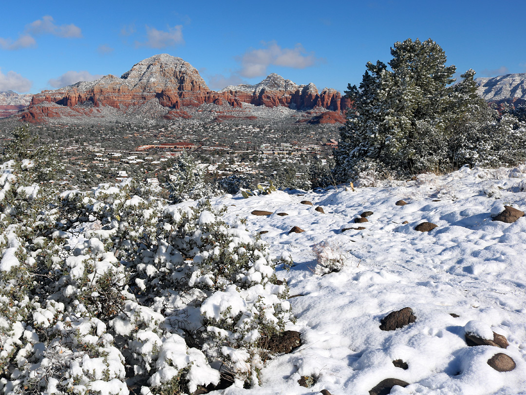 Snow-covered landscape