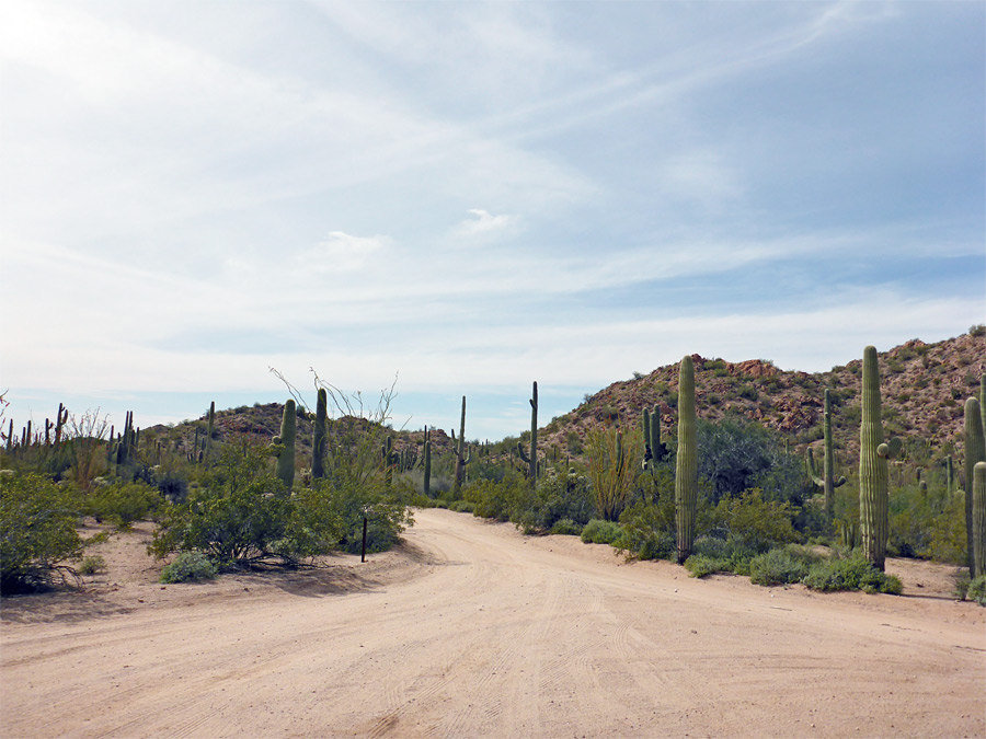 Senita Basin picnic area