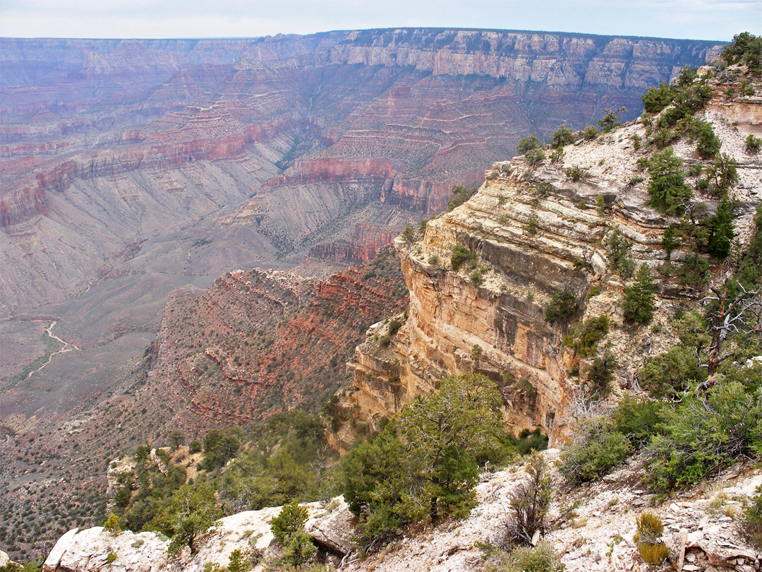 View east from Shoshone Point