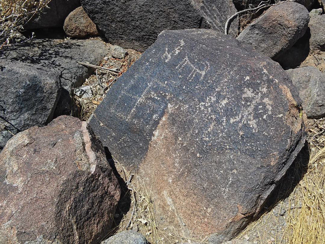Faded petroglyphs