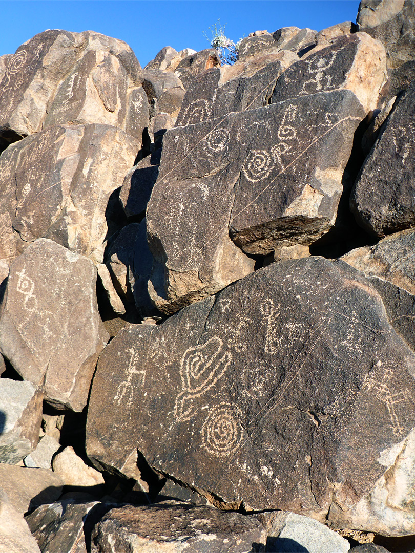 Many petroglyphs