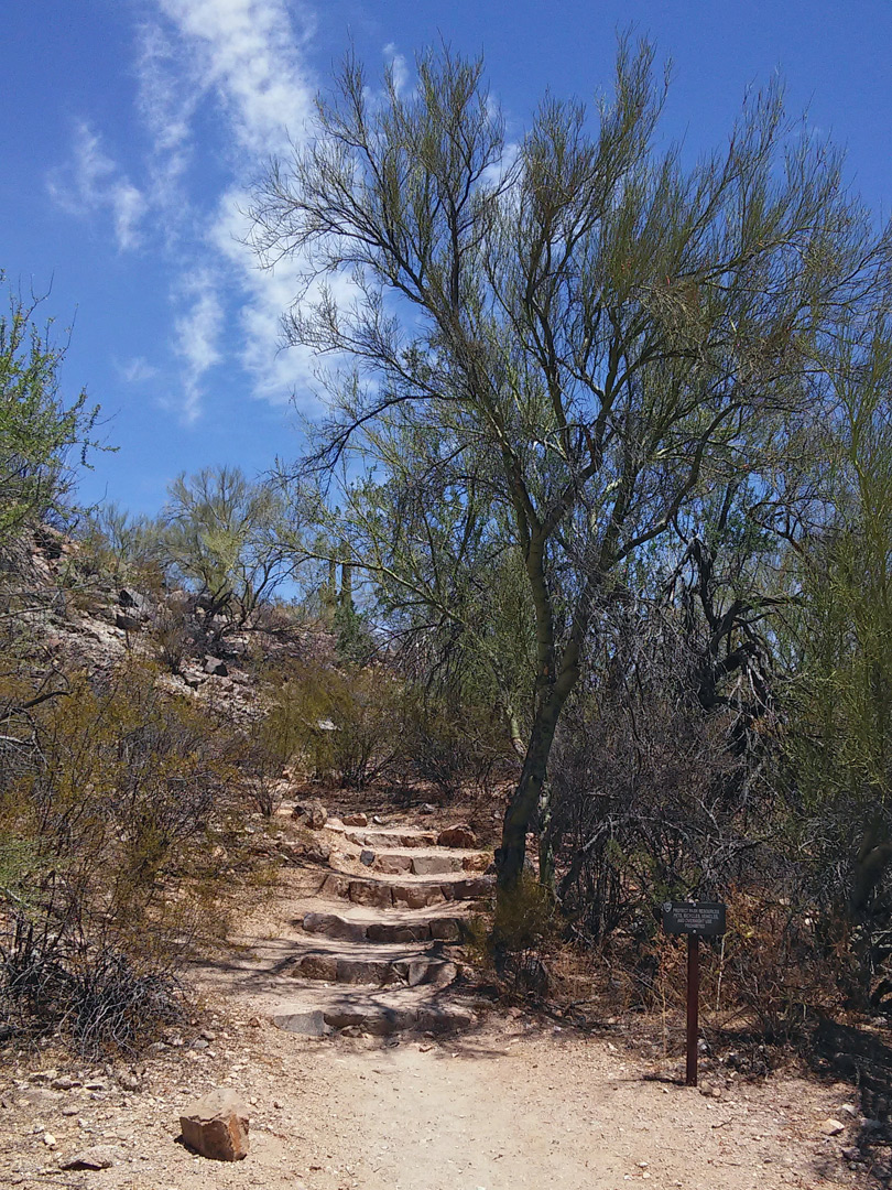 Stone steps