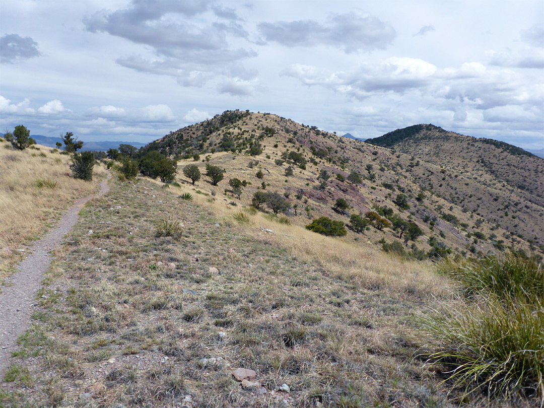 Ridgeline path