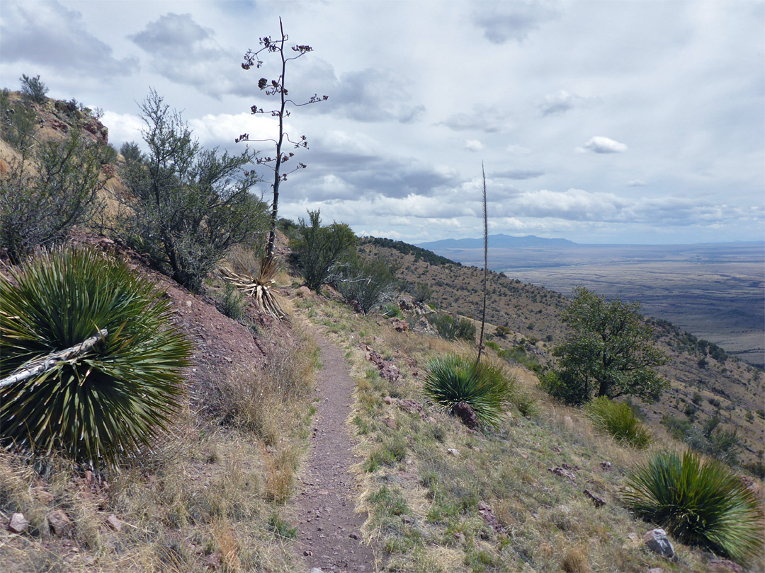 Path along Smuggler's Ridge