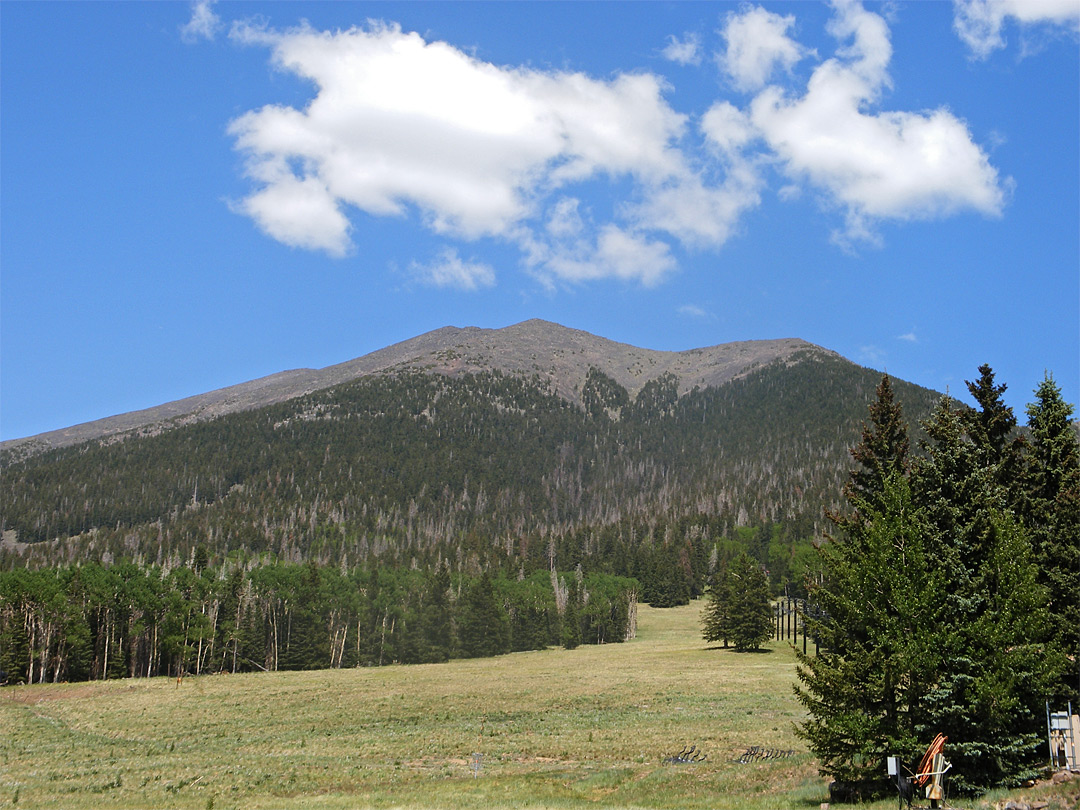 Mountains and meadow