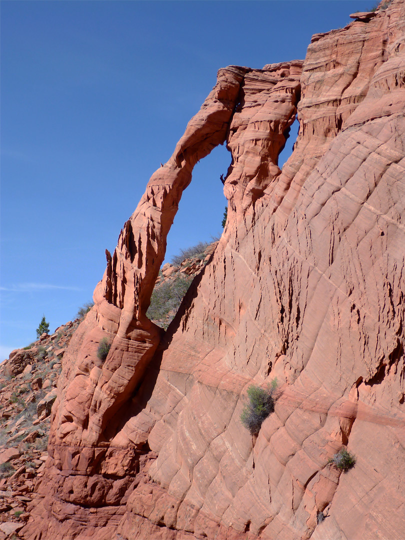 Arch and cliff