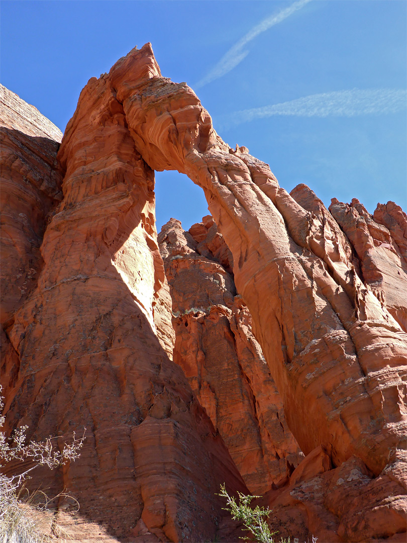 Below the arch