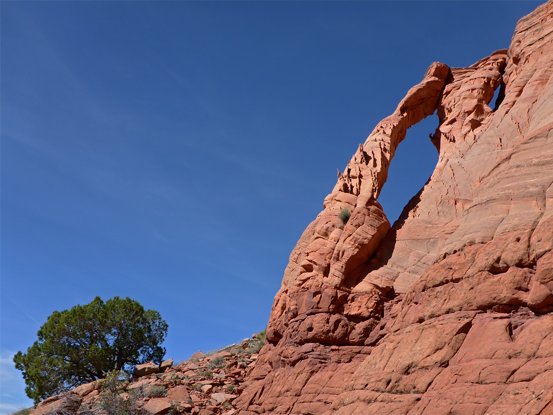 Double arch