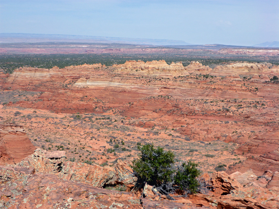 Distant formations