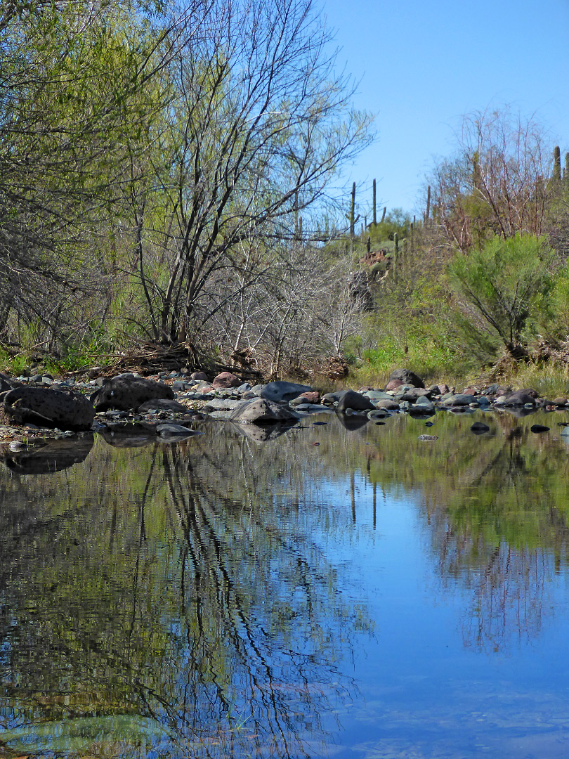 Reflections on Cave Creek