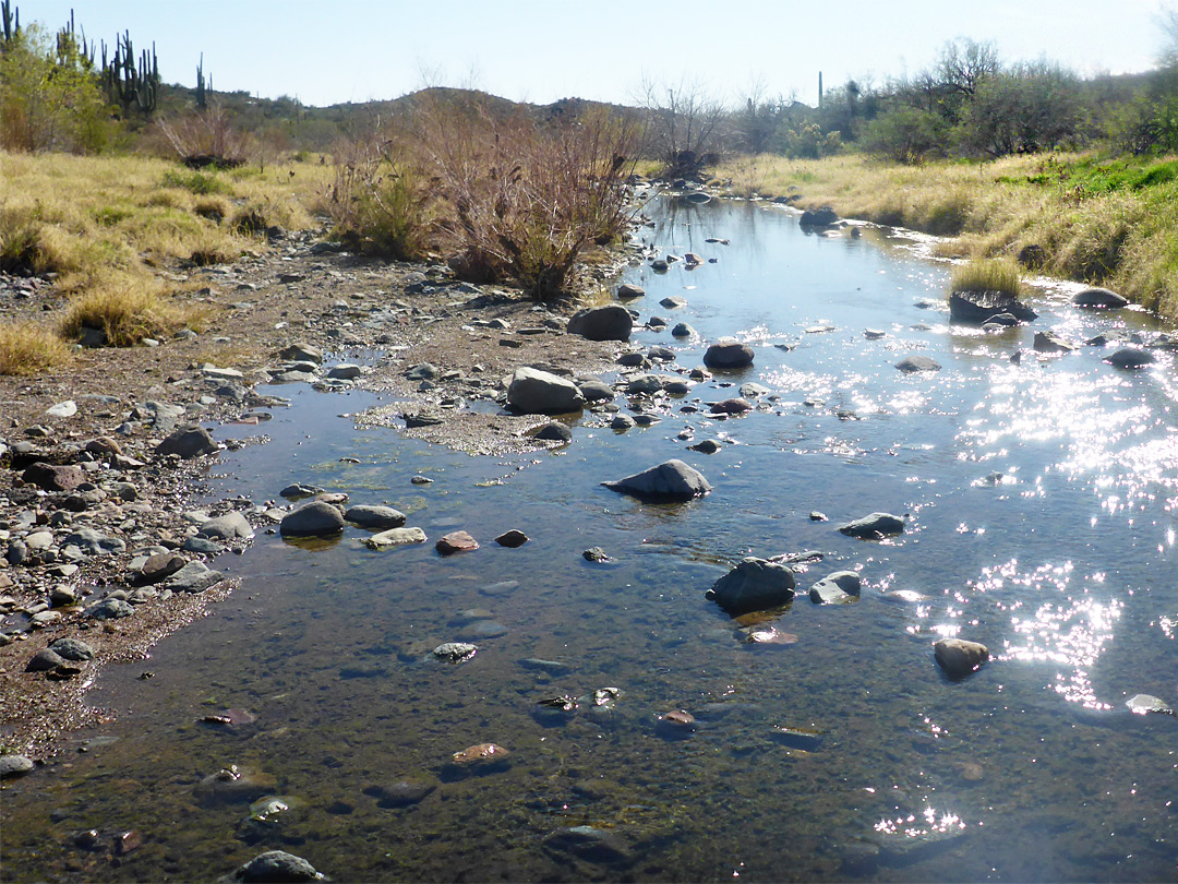 Cave Creek