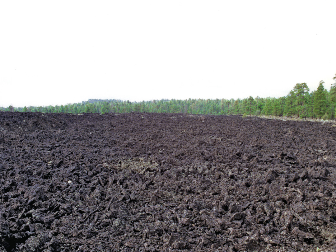 Lava field beneath Sunset Crater