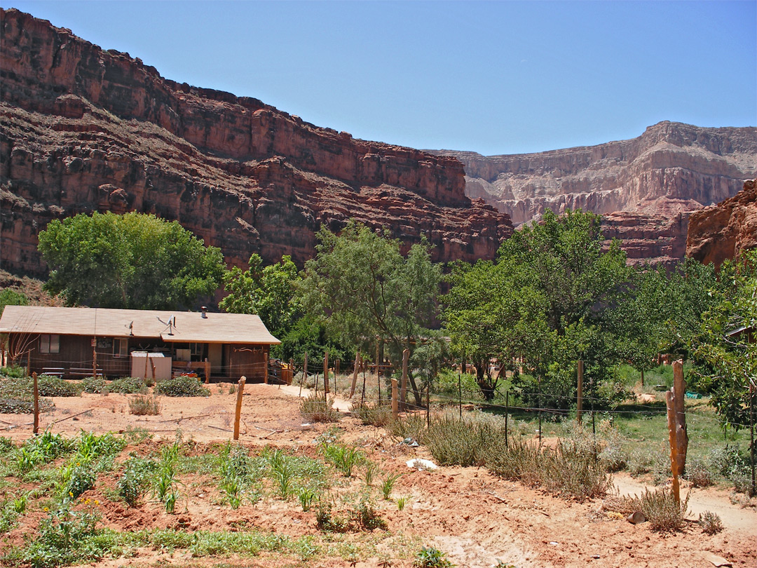 Supai