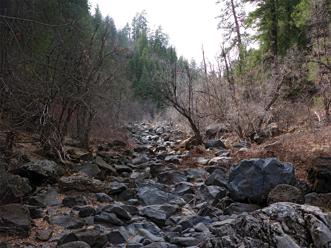 Rocky creekbed