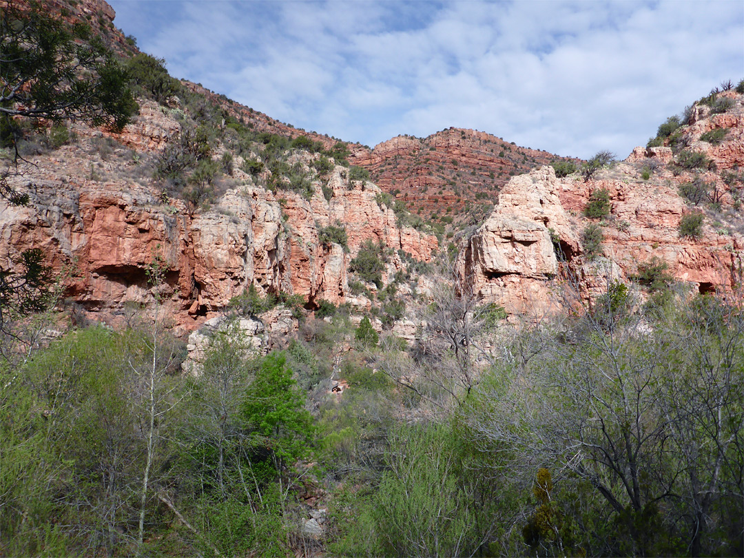 Red cliffs