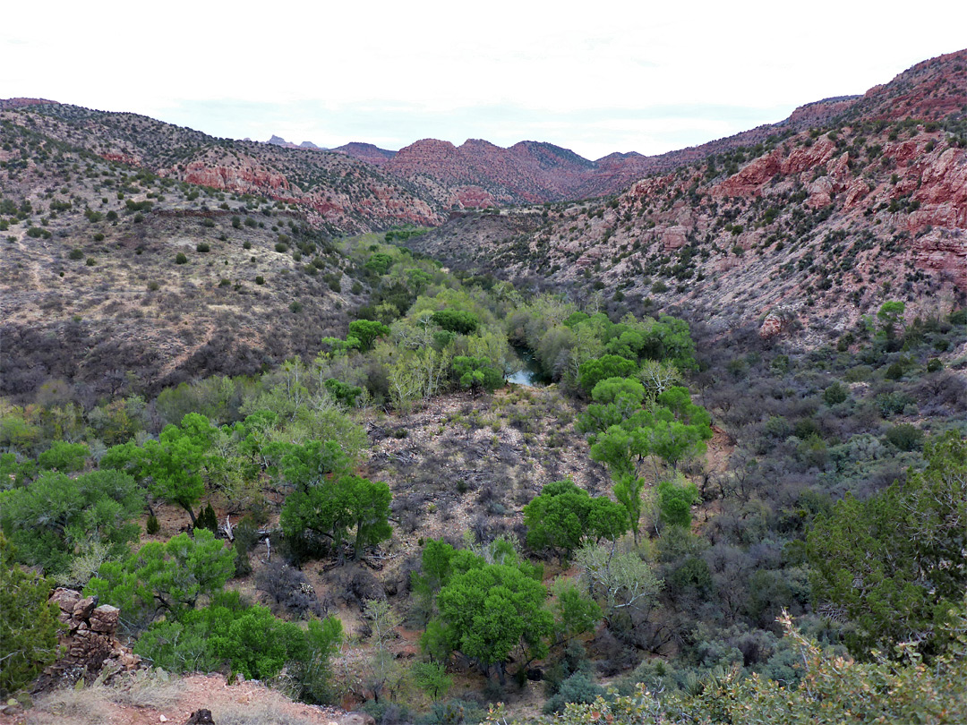 View from the trailhead