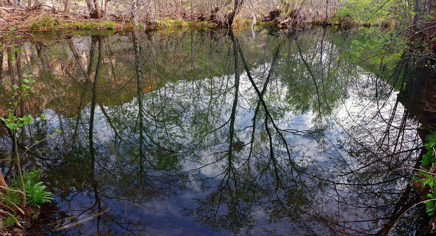 Reflections on a pool