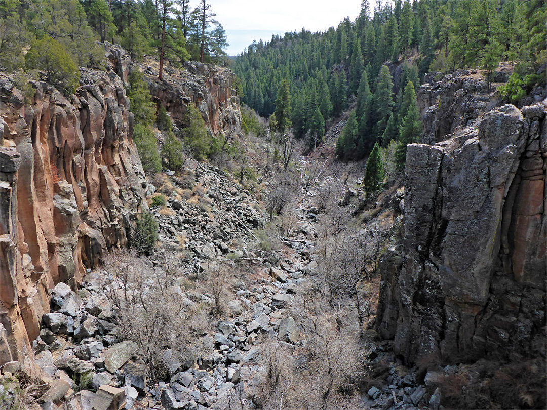 North fork canyon