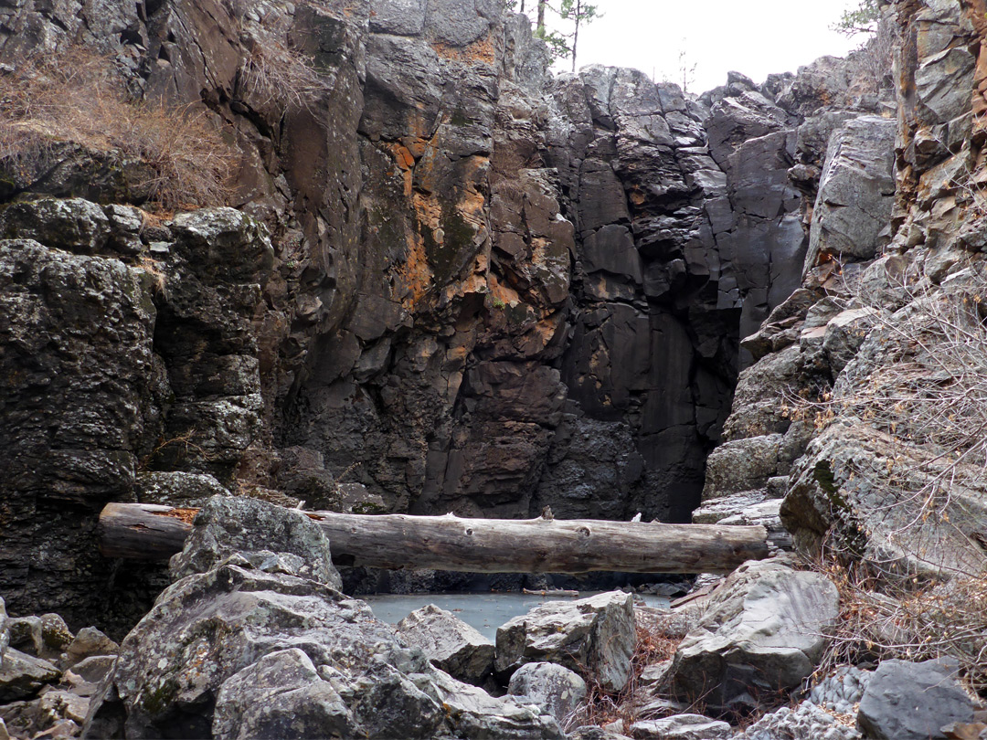 Log below cliffs