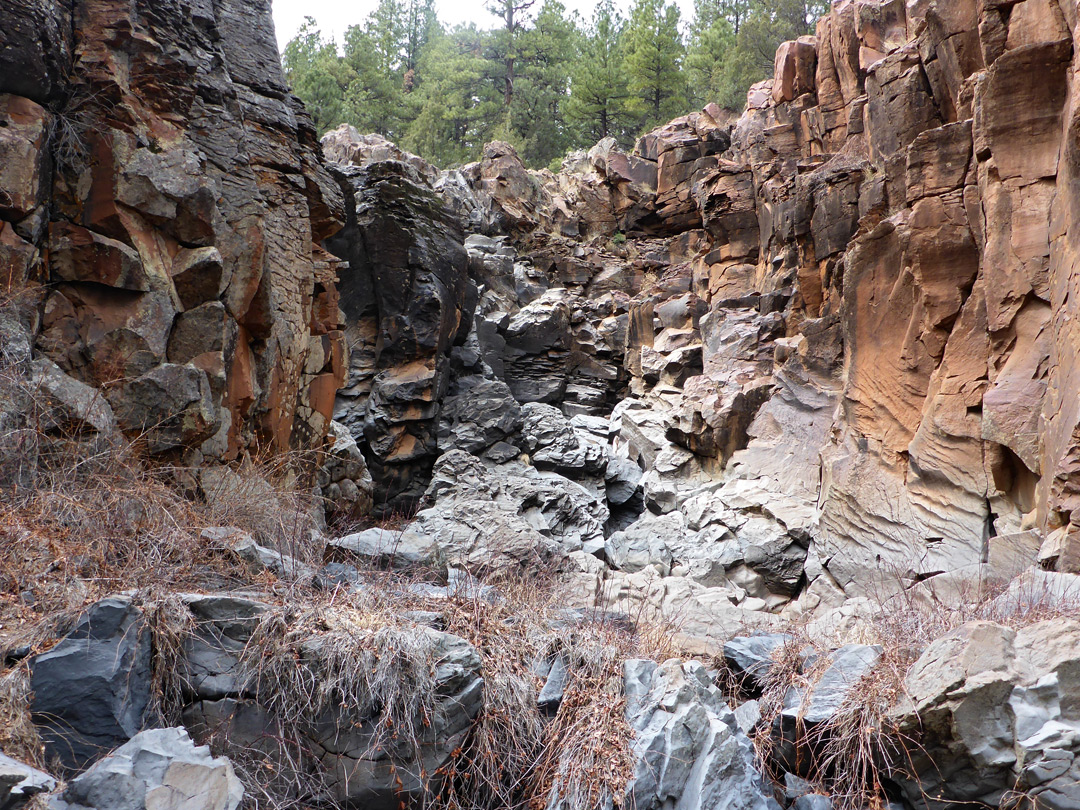 Upper end of the south fork