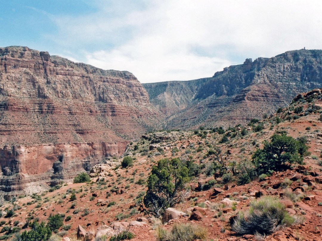 Reddish hillside