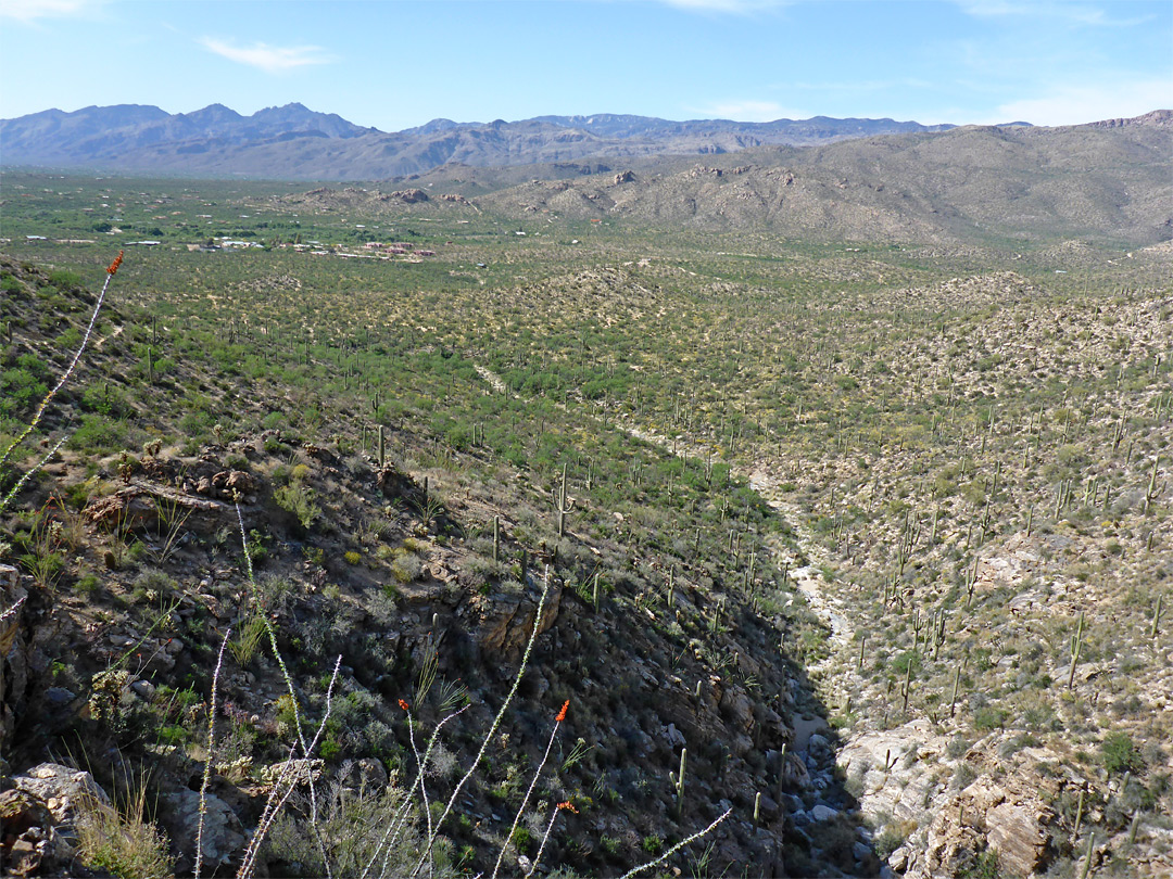 Distant mountains