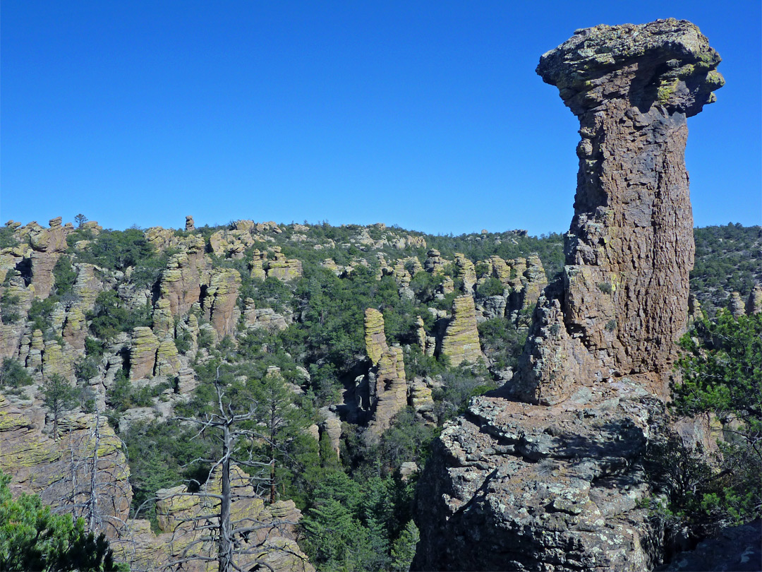 Chiricahua National Monument, Arizona