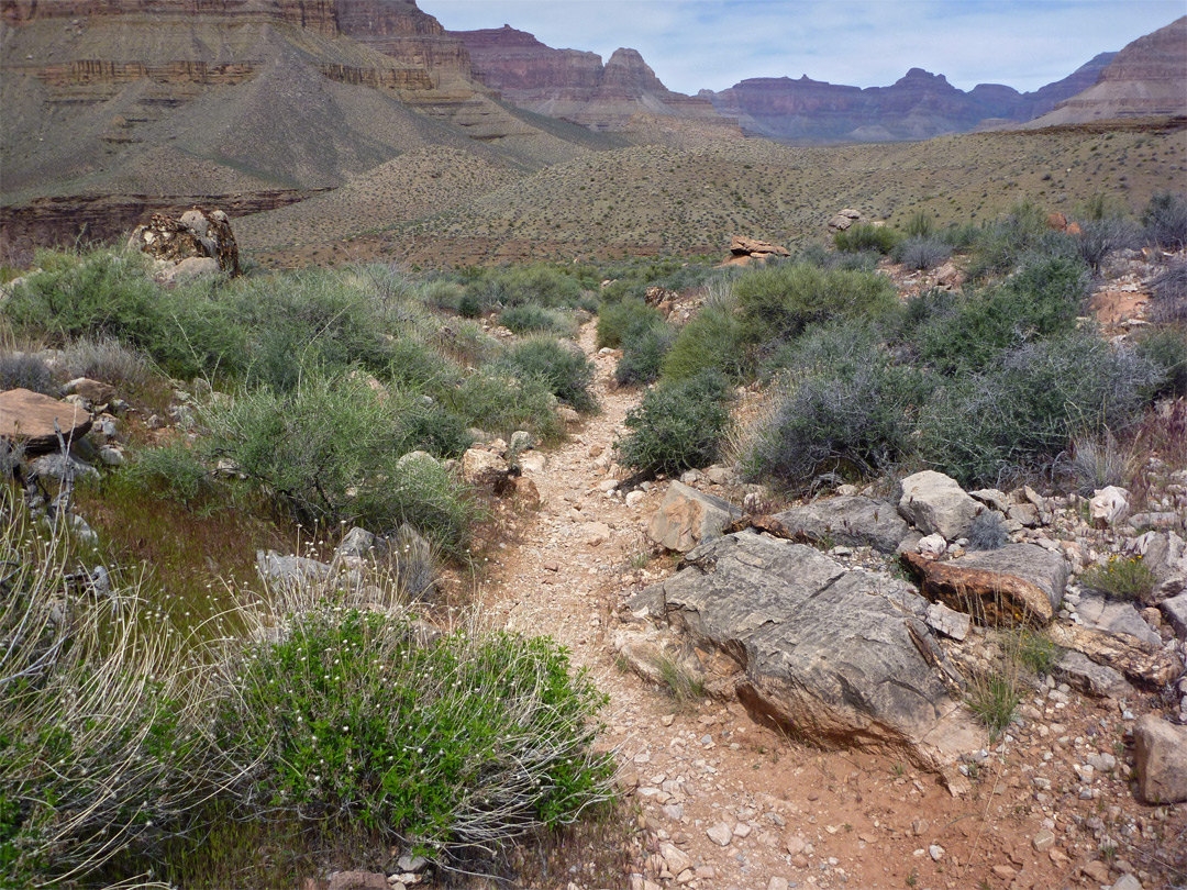 Trail across the Tonto Bench