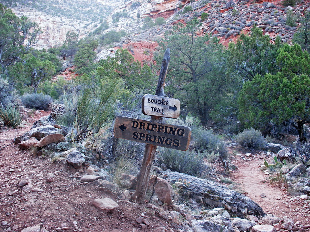 Junction with the Boucher Trail