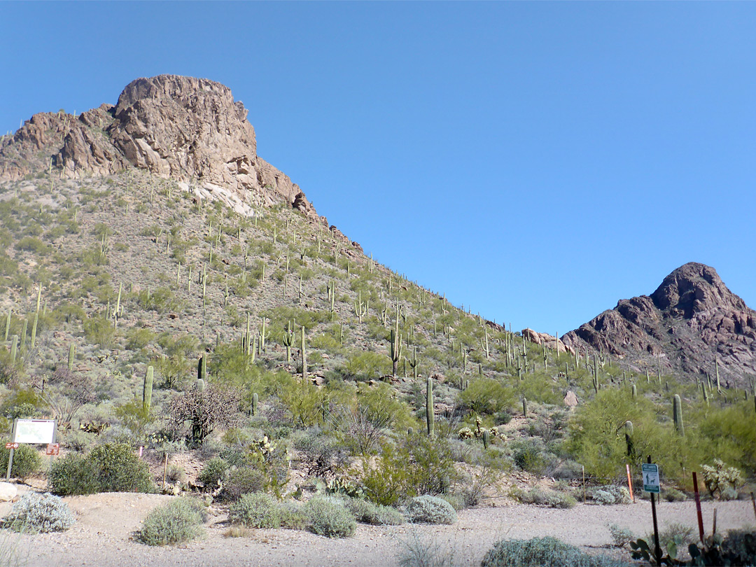The trailhead